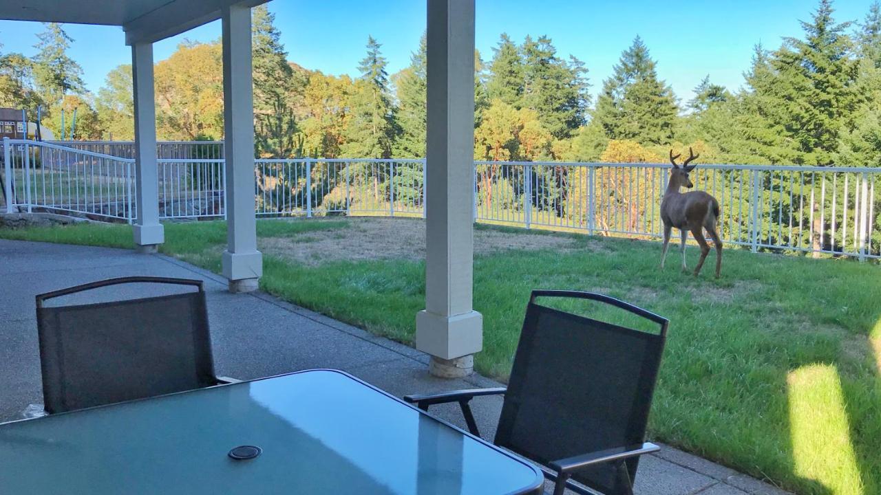 Oasis Bed & Breakfast Langford Exterior photo